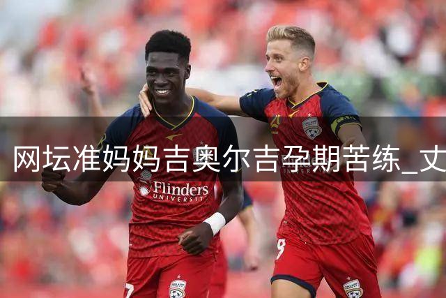 网坛准妈妈吉奥尔吉孕期苦练 丈夫接棒教练备战复出